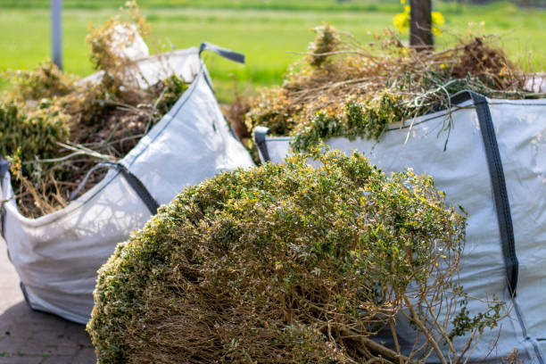 Best Appliance Removal  in Sutton Alpine, AK